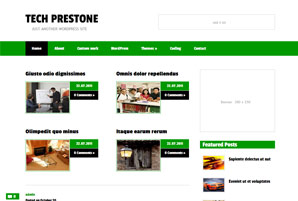 Tech Prestone