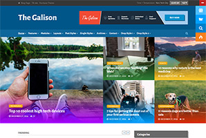 The Galison – Multi-Concept News and Magazine Theme